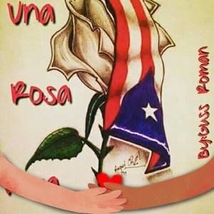 Meet your Posher, Luz